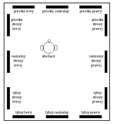 Schemat systemu dwunastokanaowego